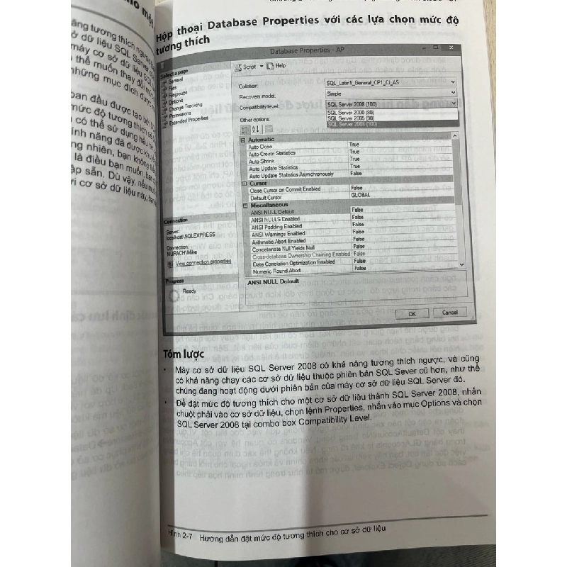SQL Server 2008 nâng cao hướng dẫn học qua ví dụ - Bryan Syverson, Joel Murach 752054