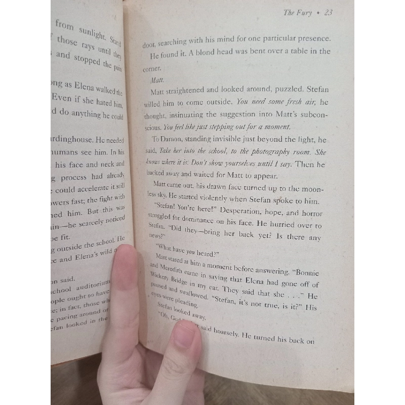 The vampire diaries: The fury and dark reunion - L. J. Smith 517917