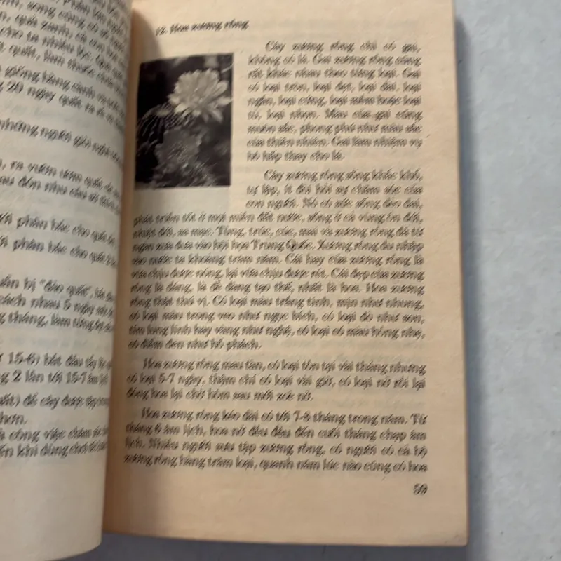 Thú chơi hoa cảnh non bộ xưa và nay - Phạm Kế - 1994s 800626