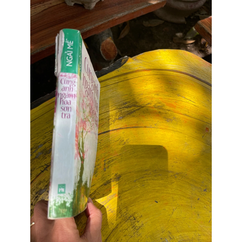 Cùng anh ngắm hoa sơn tra- ngải mễ 475325