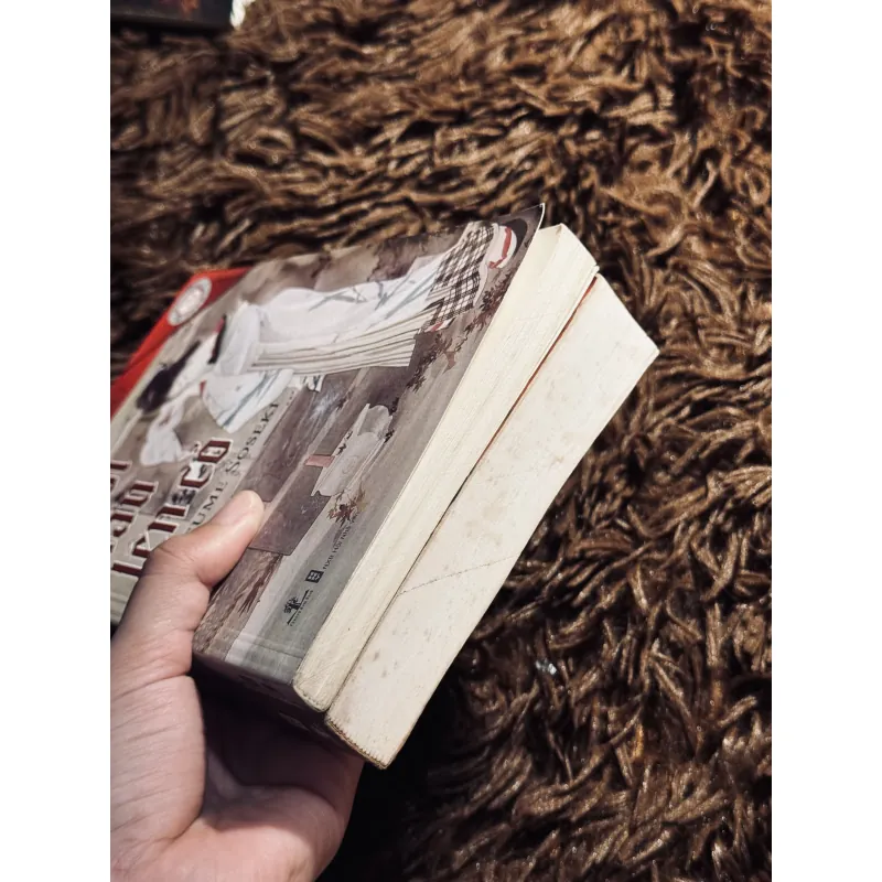 Combo Nỗi Lòng + Gối đầu lên cỏ 1020763