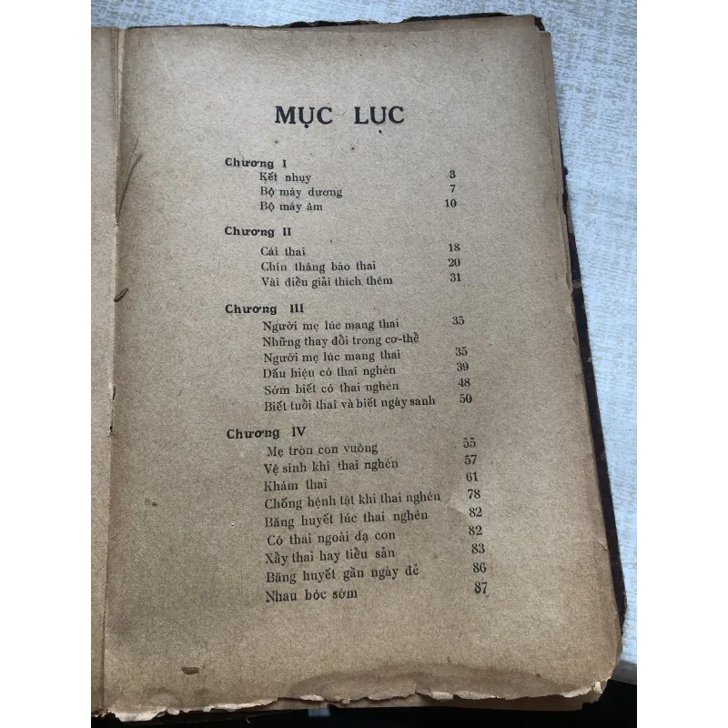 Mang nặng đẻ đau-BS Trần Ngọc Ninh, Ông Trần Việt Sơn 971198