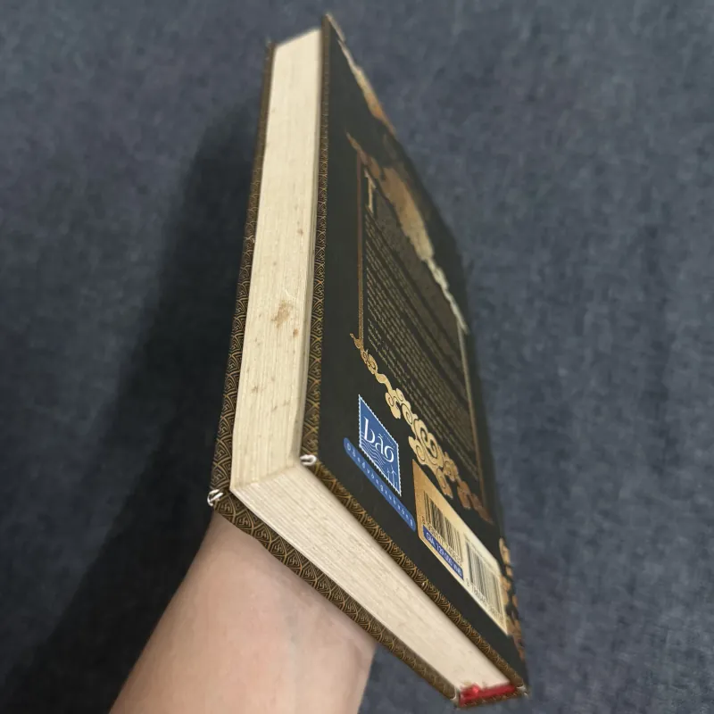 Sử Việt: 12 khúc tráng ca (Bản đặc biệt) - Dũng Phan 1010355