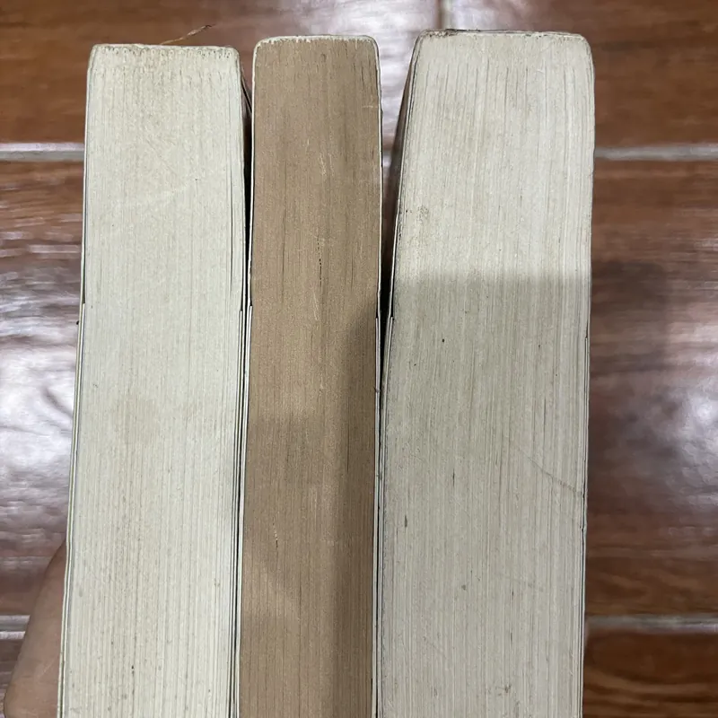 Pháp Thuật - Kinh Công - Y Thuật  Septimus Heap - Angie Sage - 3 tập (5) 621084