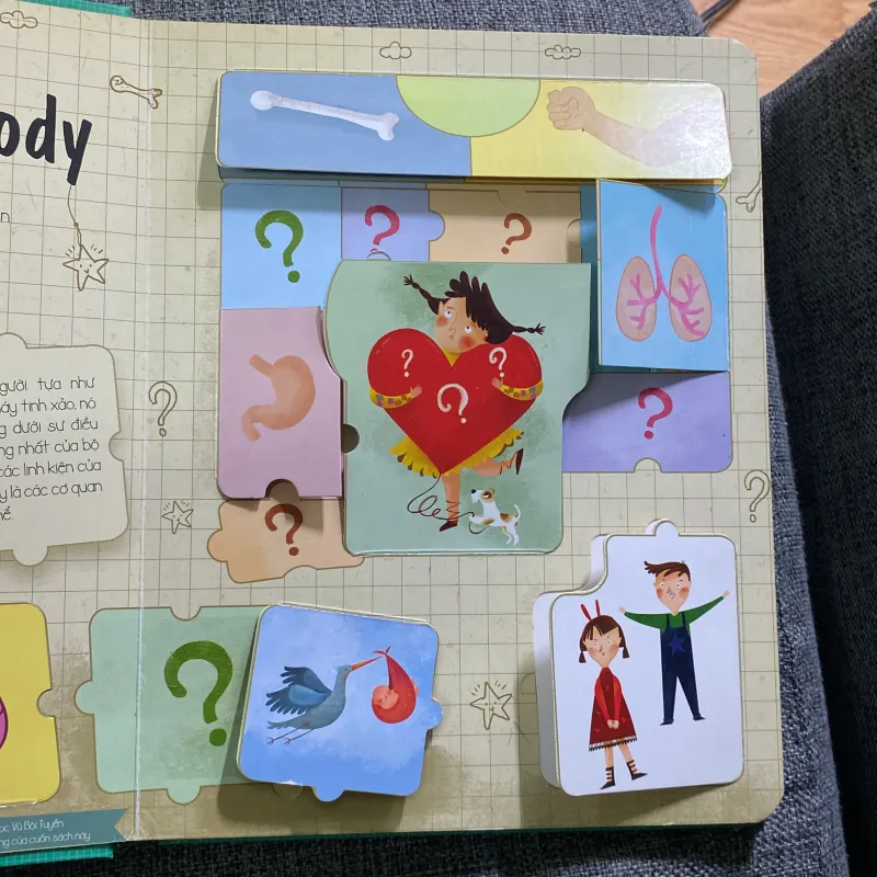 The human body cơ thể người 765876