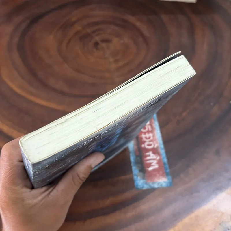 II Tiểu Thuyết: 25 Độ Âm - Thảo Trang - 2024 999239