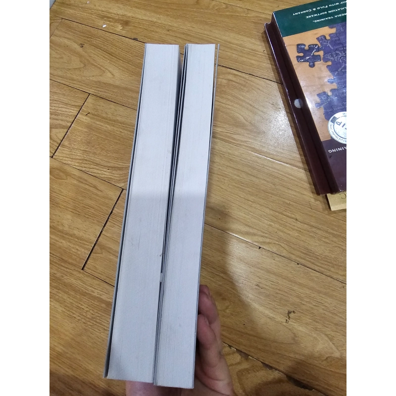 Bộ 2 Tập : Điện Thần Và Nghi Thức Hầu Đồng Việt Nam (Tập 1) + Thánh Mẫu Linh Tiêm (Tập 2) 497154