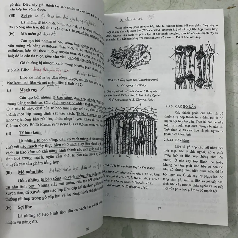 Thực vật học 1013075