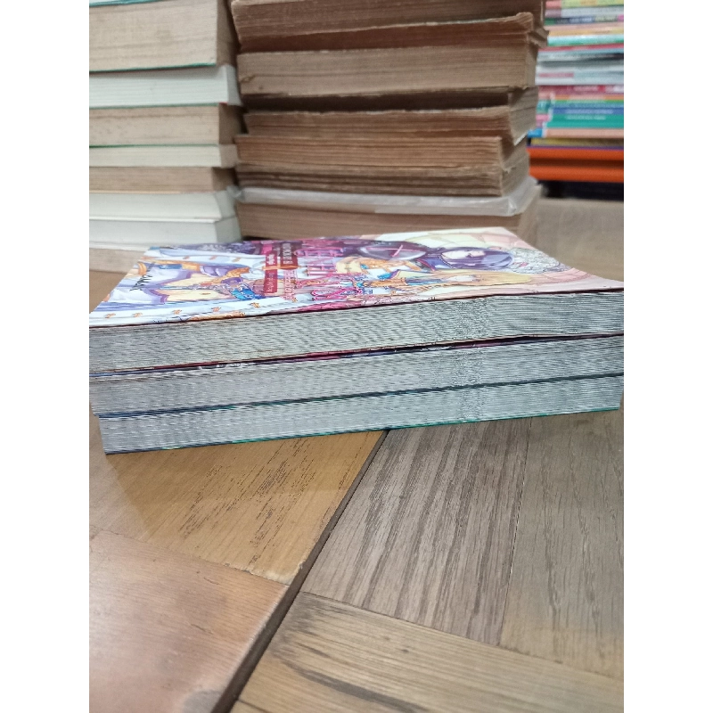 Mệnh kỵ sĩ - Ngự Ngã 1017670