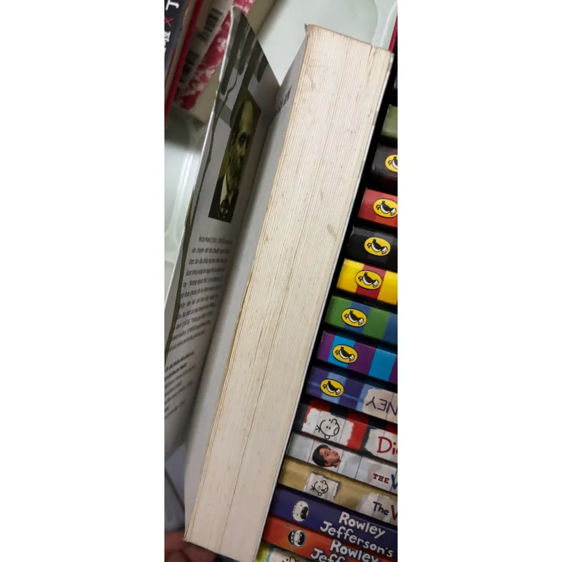 Sách Không Gia Đình - Hector Malot bản dịch tiếng Việt 1025964