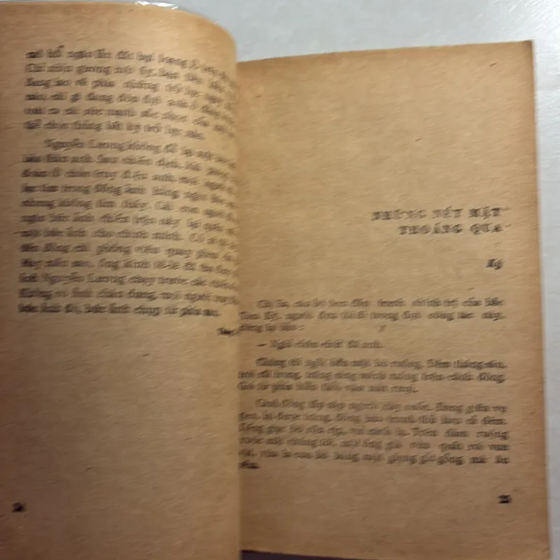 Cô gái đến biệt thự - Bùi Minh Quốc 800814