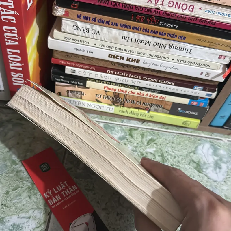 Hoàng lê nhất thống chí - Ngô Văn Gia Phái 568069