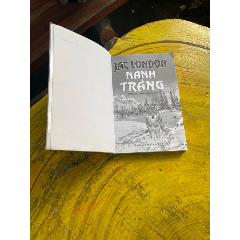 NANH TRẮNG- Jack London 476500