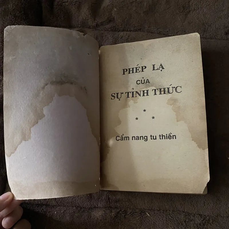 Phép lạ của sự tỉnh thức, Thích Nhất Hạnh (Phật giáo xưa cũ) 625960