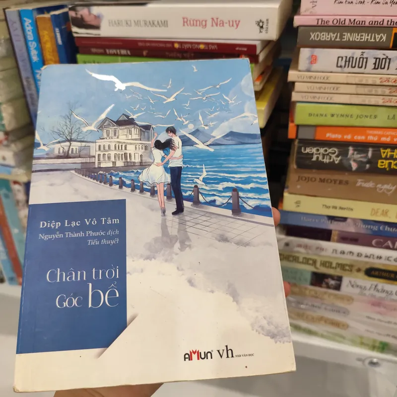 Chân trời góc bể - Diệp Lạc Vô Tâm 562992