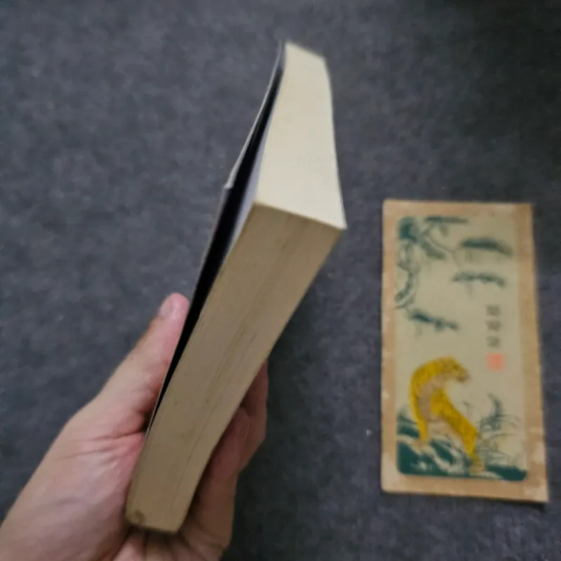 Little bird lands - karen mccombie 759537