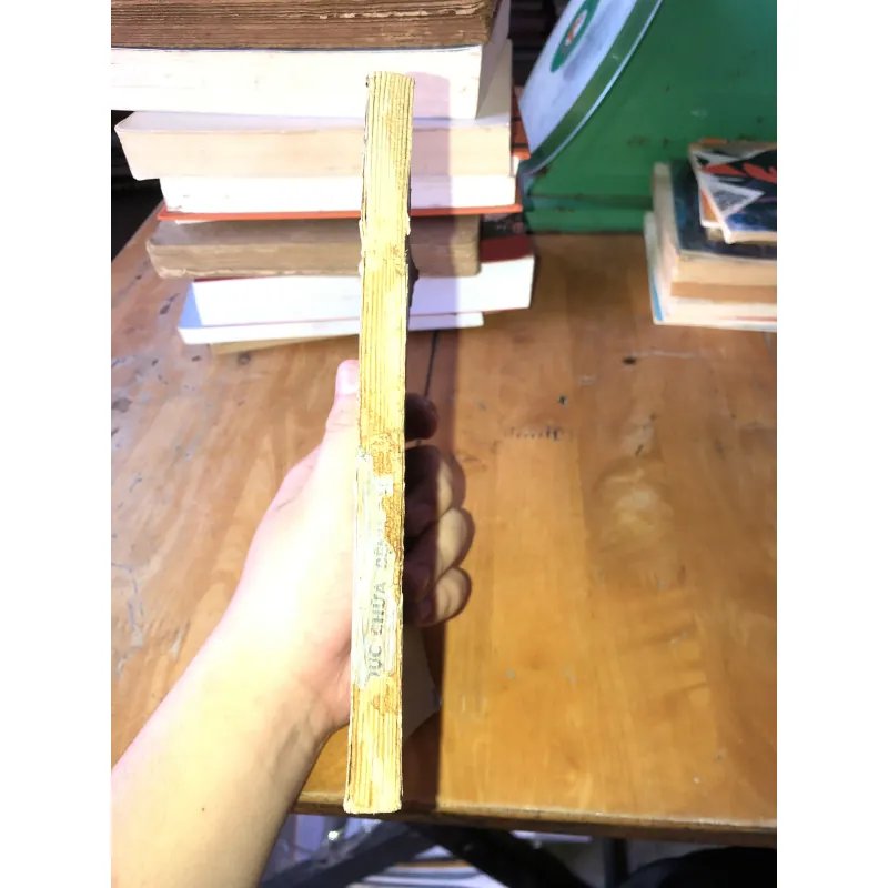 Thể Dục Chữa Lành Tại Nhà 958002