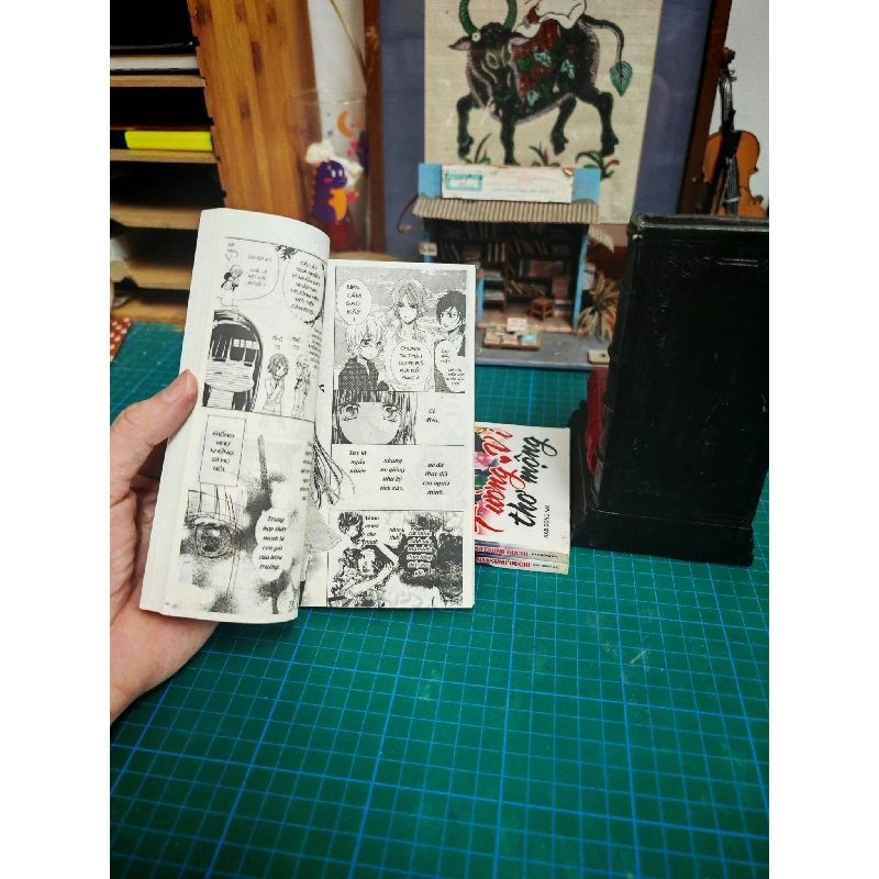 Truyện Tranh Tường Vi Thơ Mộng 734043