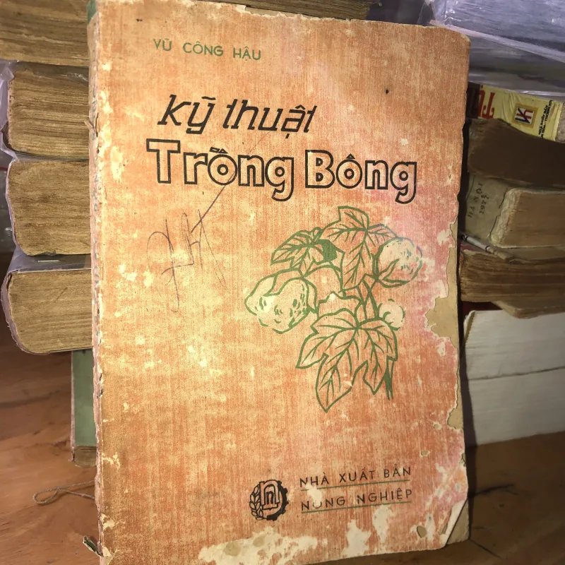 Kỹ thuật trồng bông - Vũ Công Hậu 1017668