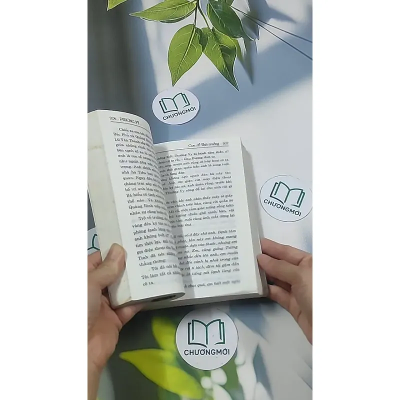 Con rể tỉnh trưởng - Phương Vỹ 695009