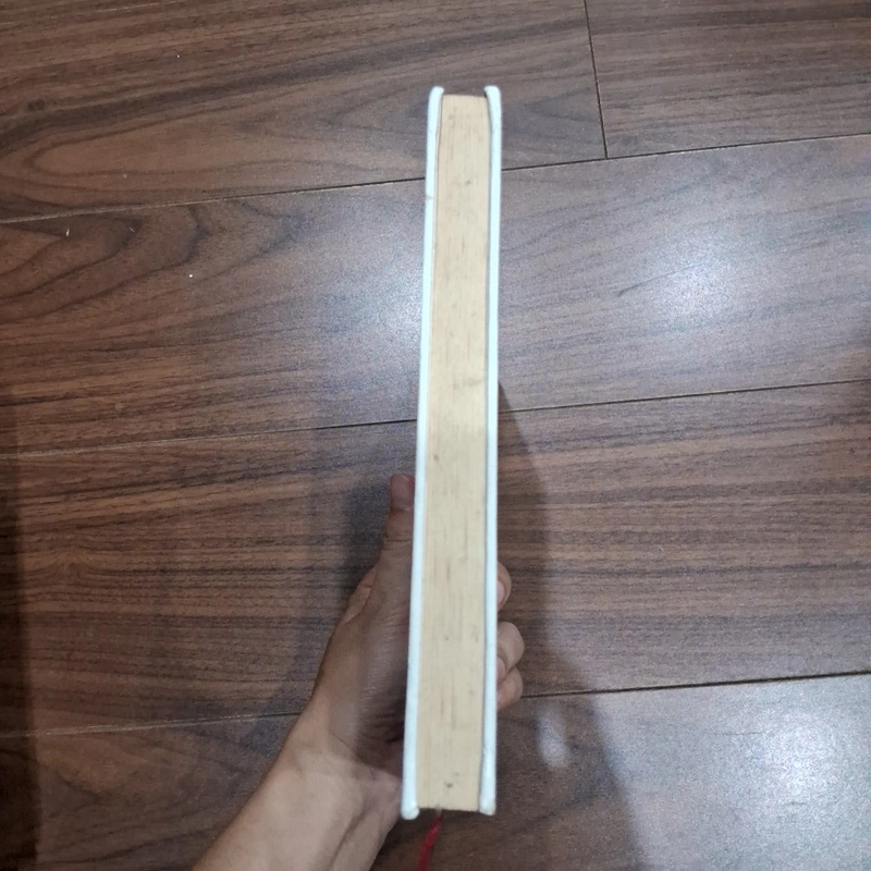 Mắt pháo - tô đức chiêu 516441