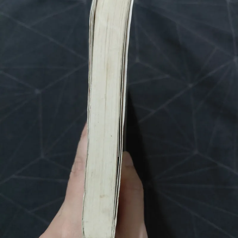 "Ảo ảnh của thanh xuân" - Inui Kurumi 496653