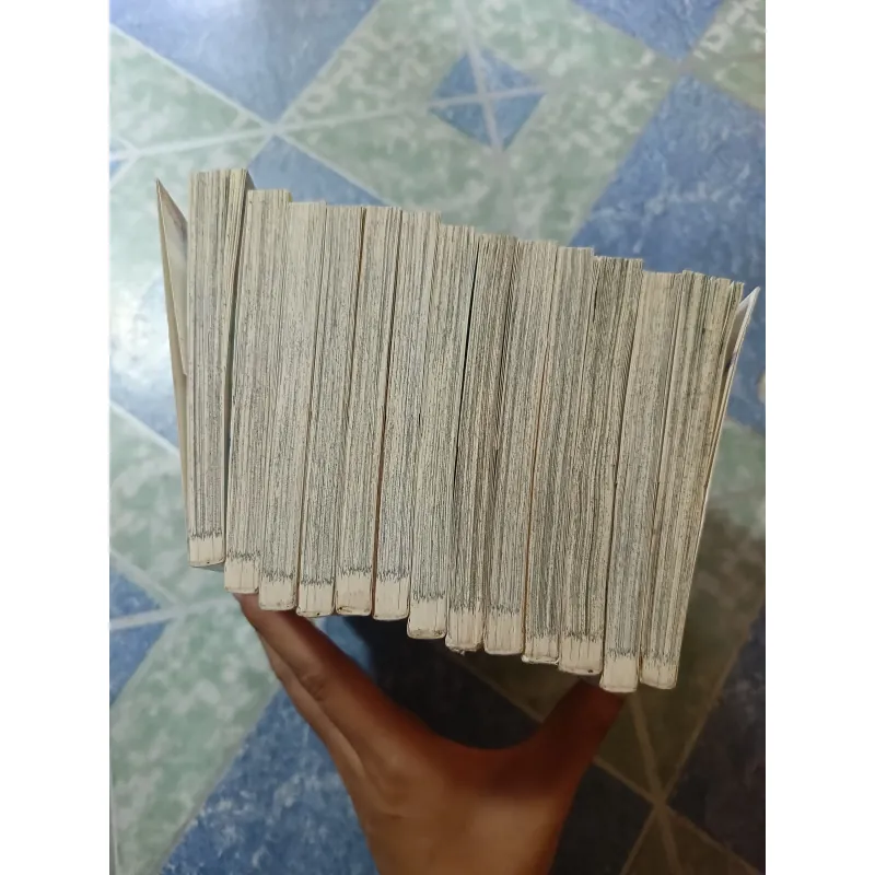 Con đường mùa xuân ( 13 tập) 975983