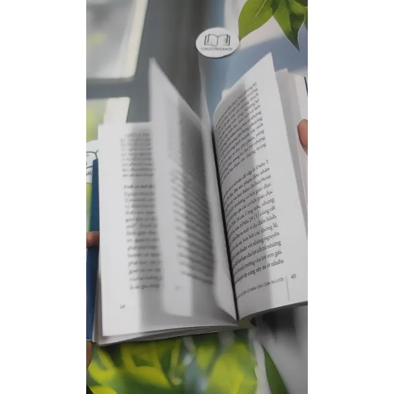 Tìm Hiểu Về Quyền Được Giáo Dục Như Quyền Cơ Bản Của Con Người - PGS. TS. Mai Hồng Quỳ 727347