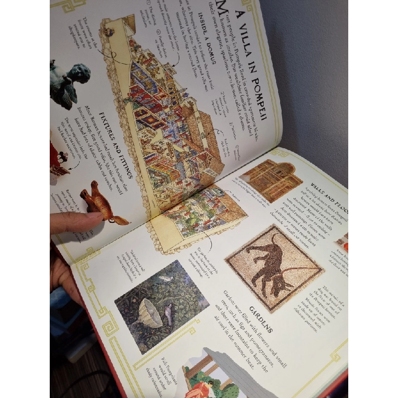 POMPEII : Picture Book (Usborne) 222627
