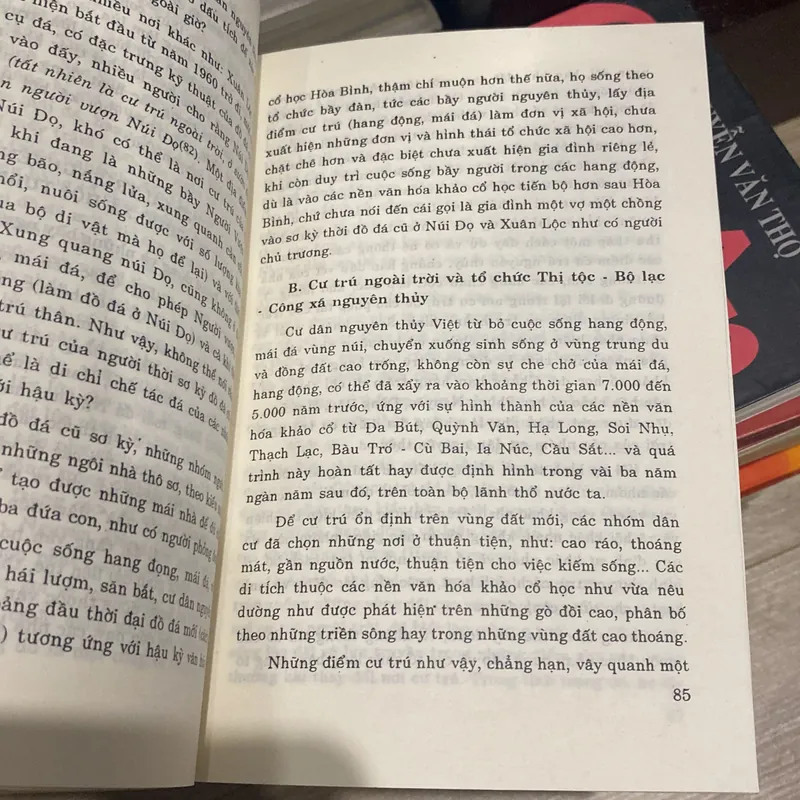 VIỆT NAM - THỜI CỔ XƯA (Từ khởi thủy đến năm 40-43 sau Công Nguyên), xb năm 2000 699270