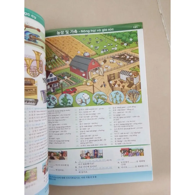 Nâng cao vốn từ vựng tiếng Hàn theo chủ đề bằng hình ảnh 653609