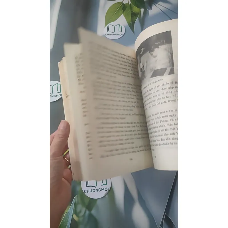 Dạ, Thưa Thầy - Phan Hoàng 928525