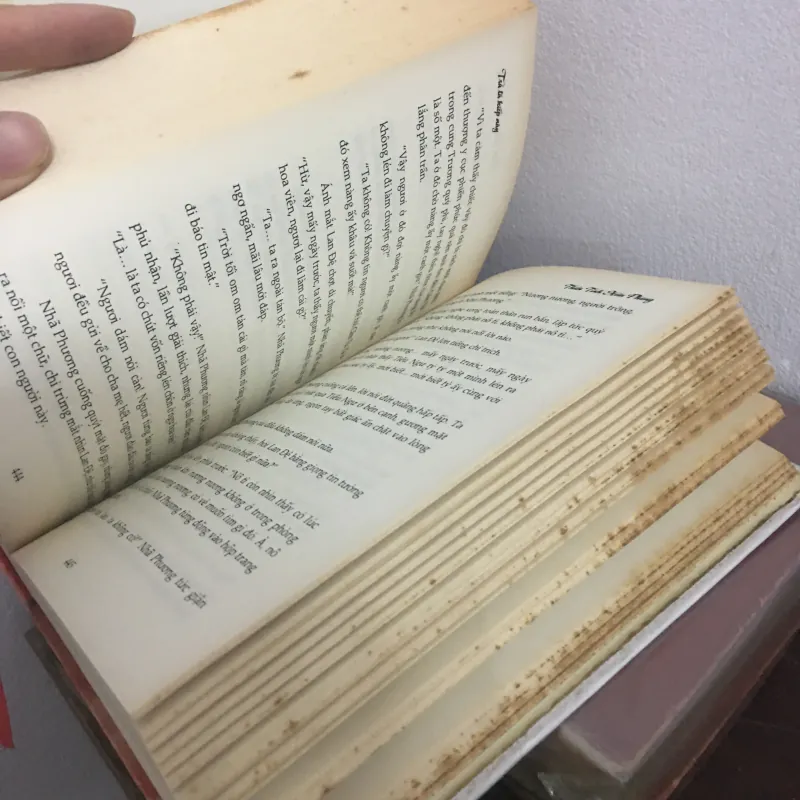 Trả ta kiếp này 1034460