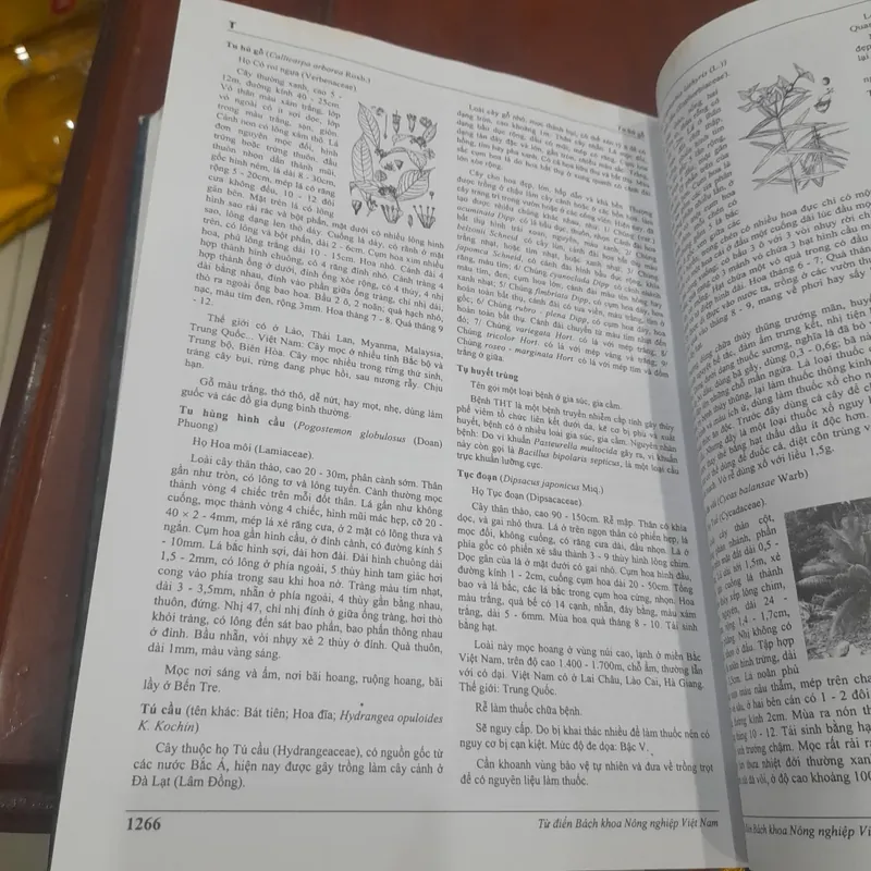 Từ điển BÁCH KHOA NÔNG NGHIỆP VIỆT NAM 603519