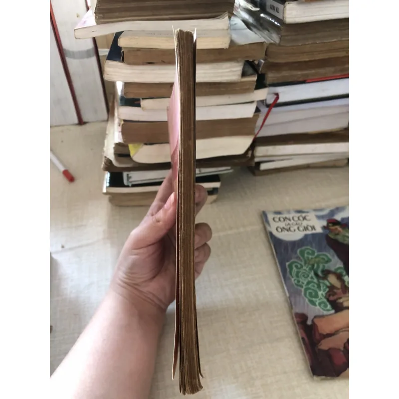 Luận đề về Phan Bội Châu và Phan Chu Trinh 973905