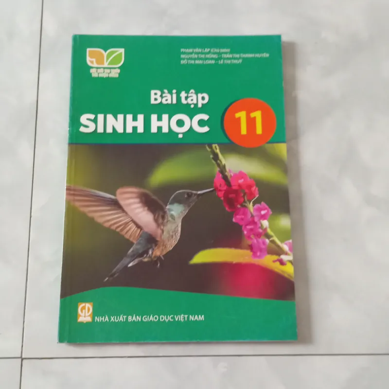 SGK Bài Tập Sinh Học Lớp 11-Kết Nối Tri Thức Với Cuộc Sốnc  563474
