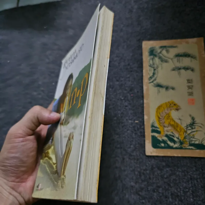 N.p - Banana Yoshimoto 733964