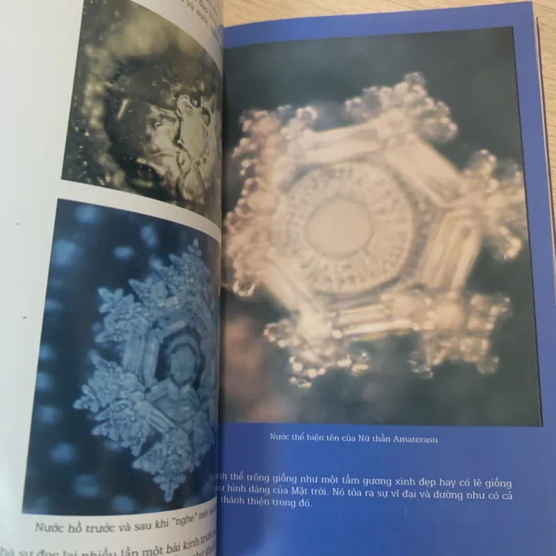 Thông điệp của nước  779156