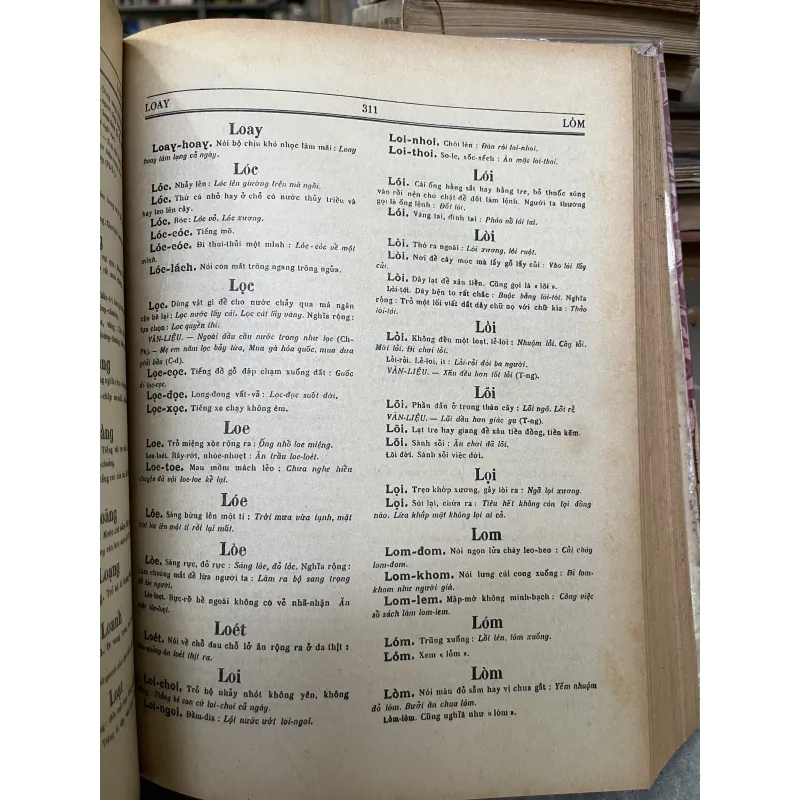 VIỆT NAM TỰ ĐIỂN 750359