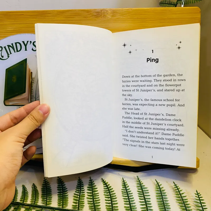 [Sách tiếng Anh 2hand] Like new 90% - Naughty Fairies: Wand in the Pond - Lucy Mayflower 562283
