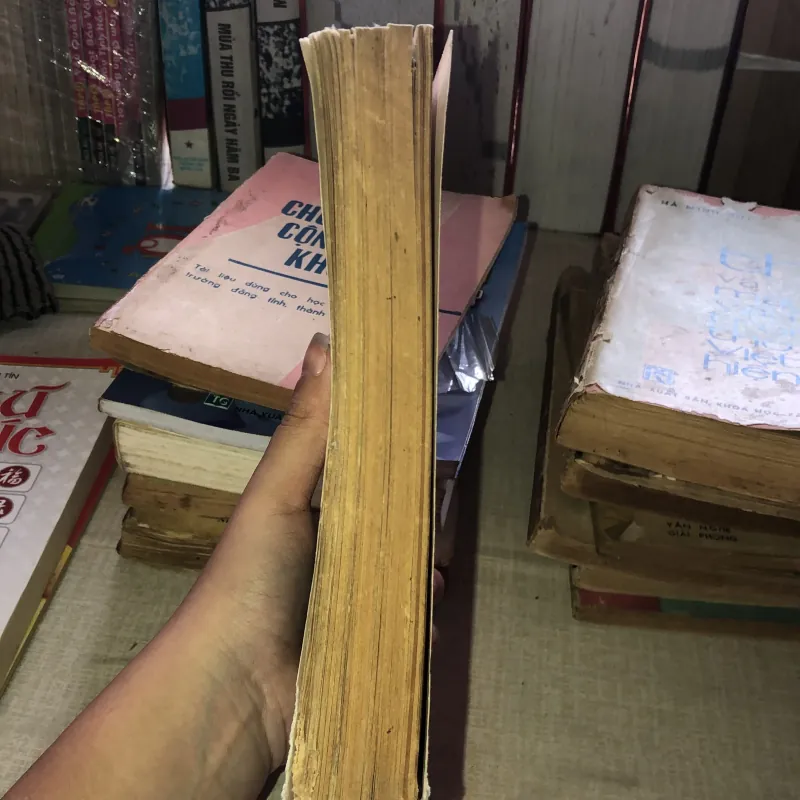 Bài học về ngôn ngữ và văn minh Pháp 993466