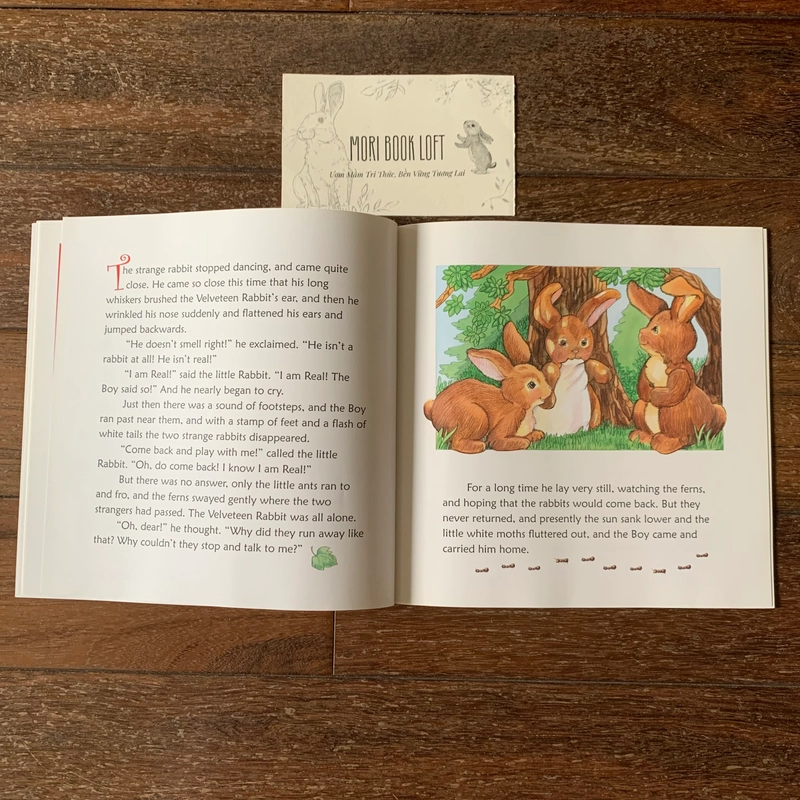Sách tranh tiếng anh The Velveteen Rabbit, Used, tình trạng mới 478677