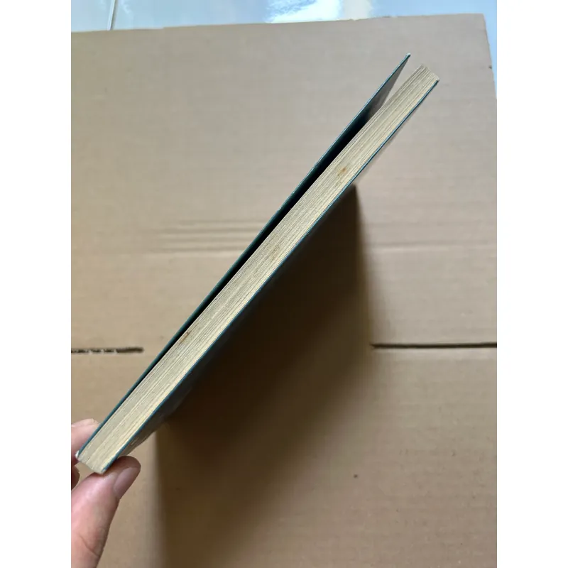 Người trong đau khổ vẫn cười - Hamlet Trương 995429