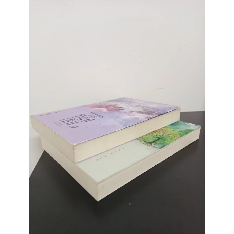Tình Đầu Của Tiểu Yêu (Bộ 2 Tập) (2018) - Thuỷ Hợp Mới 90% HCM.ASB2802 448181
