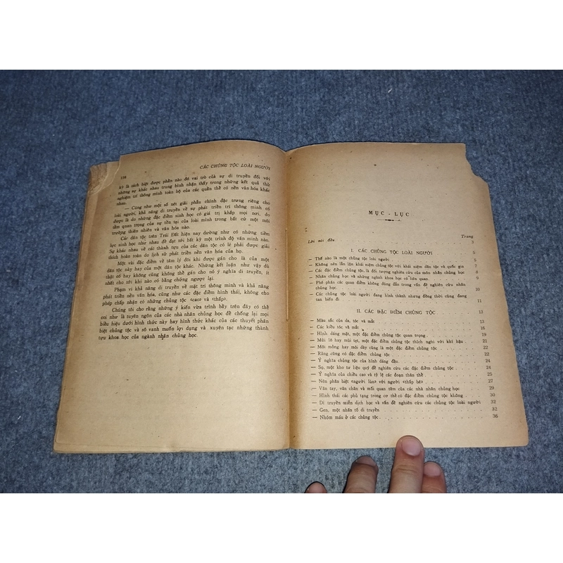 CÁC CHỦNG TỘC LOÀI NGƯỜI 539808