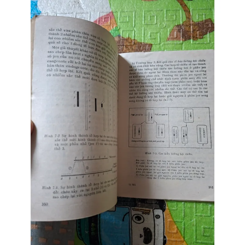 Một số chuyên đề Y học - Tập V 971383