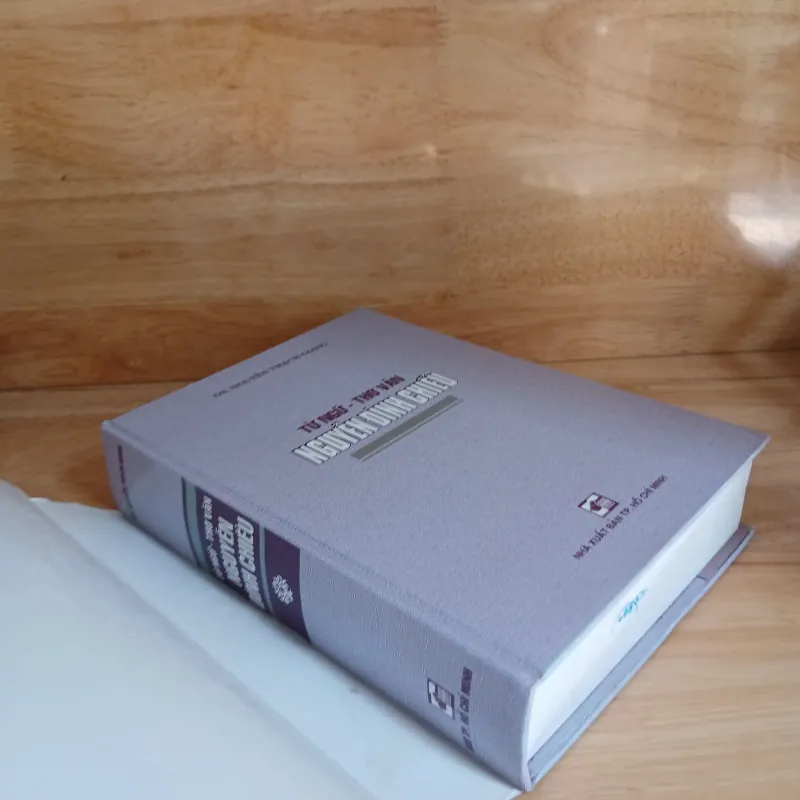 Từ Ngữ - Thơ Văn NGUYỄN ĐÌNH CHIỂU (GS Nguyễn Thạch Giang) 305187