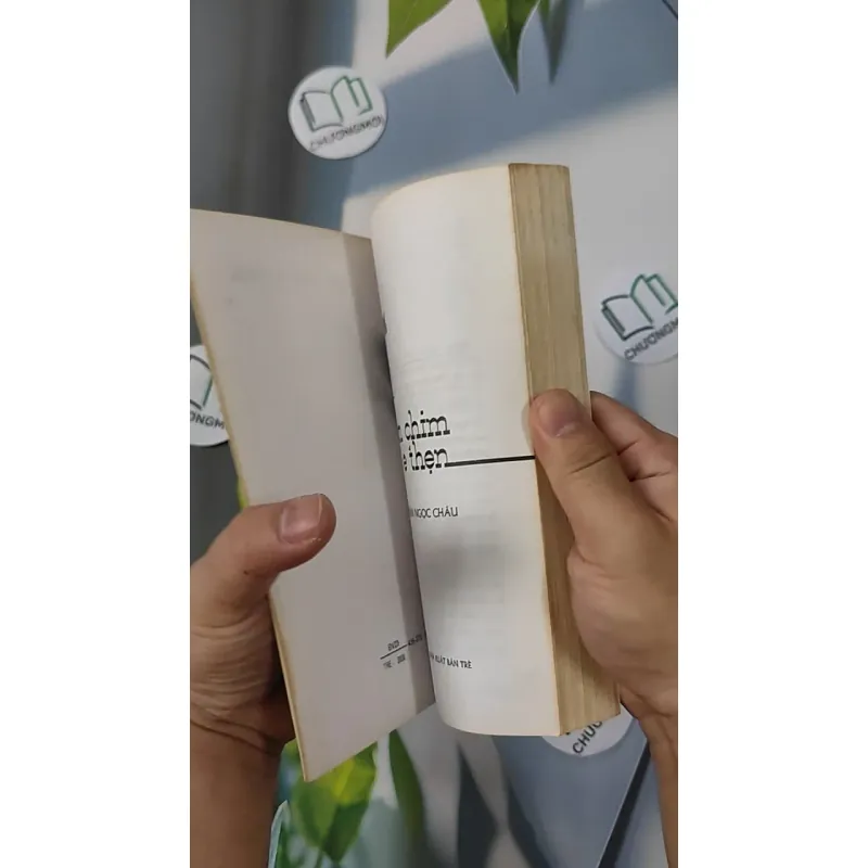 Con Chim E Thẹn - Trần Ngọc Châu 798306