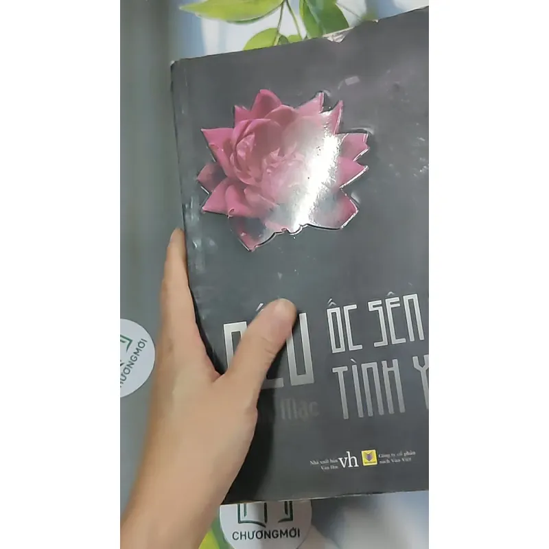 Nếu ốc sên có tình yêu - Đinh Mặc 688711