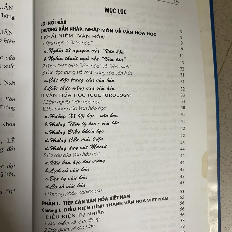 CƠ SỞ VĂN HÓA VIỆT NAM – Huỳnh Công Bá 784410